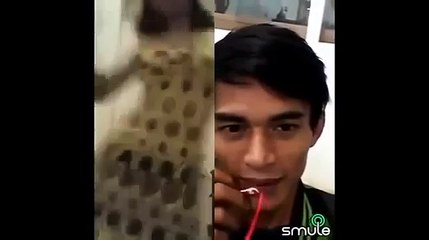 Video Smule Lucu Lawan Duet Sampe Melotot Liat Goyang HOT