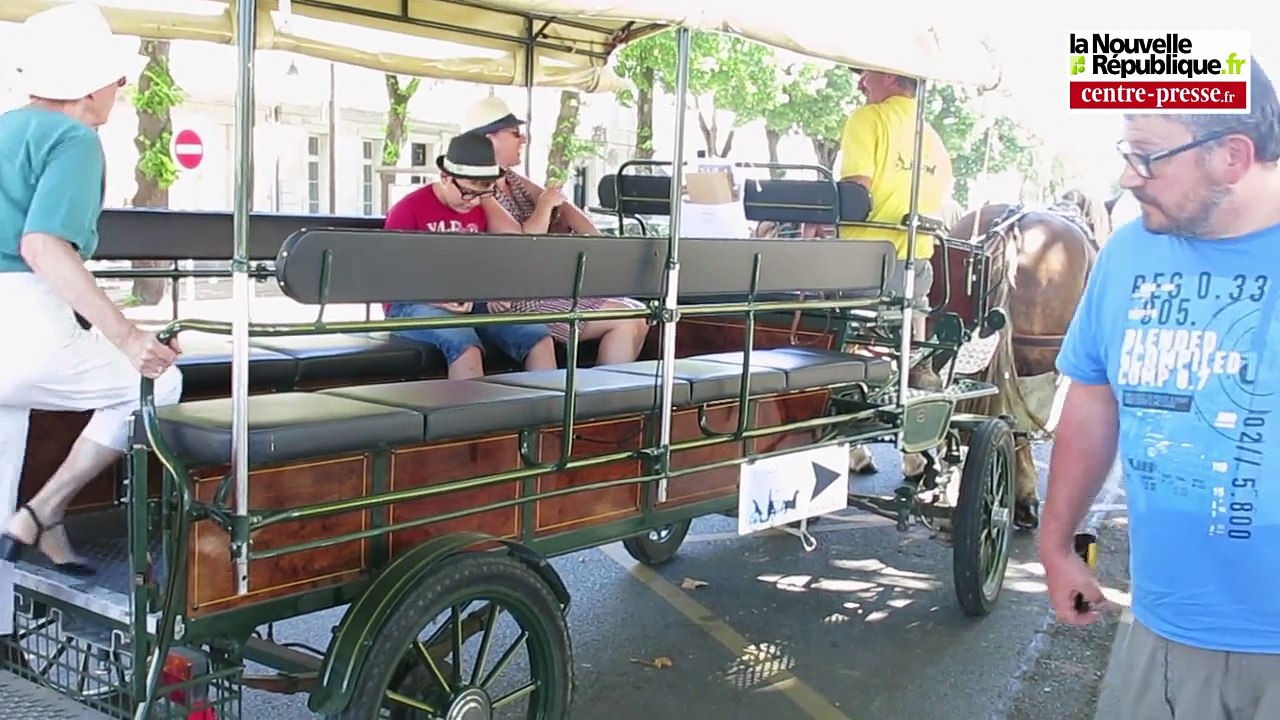 Châtellerault : balade en calèche dans le centre-ville