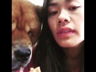 Who Says Chows Aren't Good Kissers?