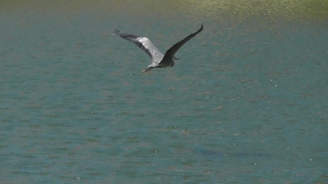 Sortie à Jugon-Les-Lacs 15 août 2016