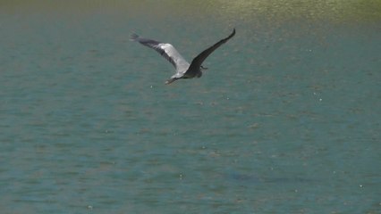 Sortie à Jugon-Les-Lacs 15 août 2016