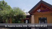 Welcome to Dr. Suzie Pet Hospital
