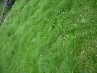 JACKASS CAR JUMP RICHARD