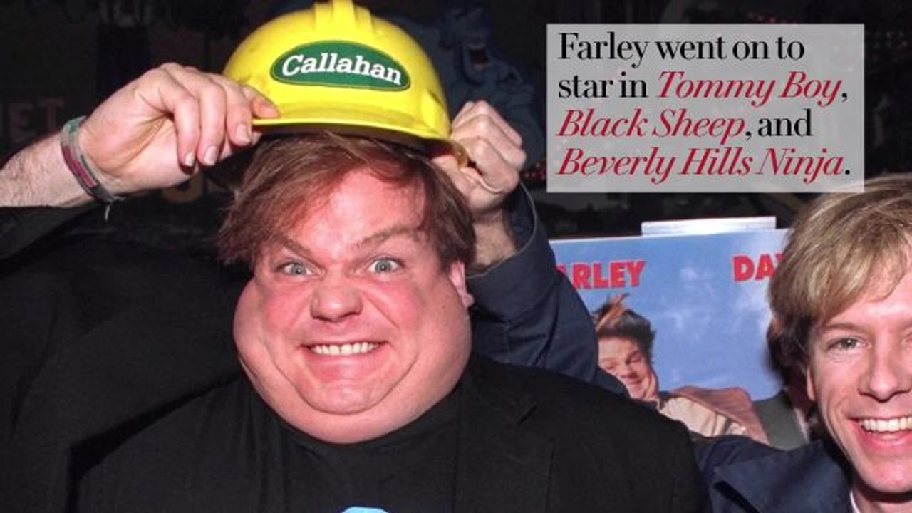 SNL Cast Members Who Found Success After Being Fired