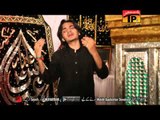 Ehsaan Ghareeb Ty - Mateen Haider Zaidi - Official Video