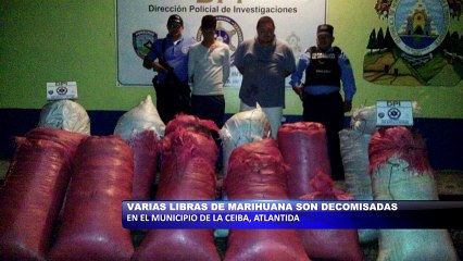 下载视频: Decomisan varias libras de marihuana