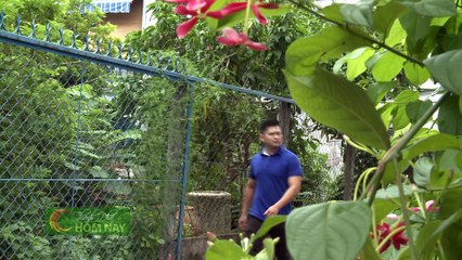 Cà ri gà - Thành Phố Hôm Nay [HTV9 – 16.08.2016]