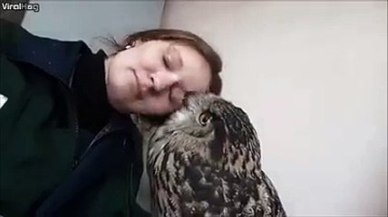 Ok...I WANT an Owl