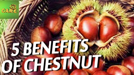 5 Benefits Of Chestnut | Care Tv