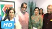 Amitabh Bachchan And Jaya Bachchan Inaugurates Dilip De's Painting Exhibition