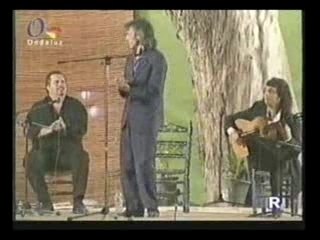 Flamenco el capullo de jerez