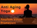 Anti Ageing Yoga - Anulom Vilom Pranayam.