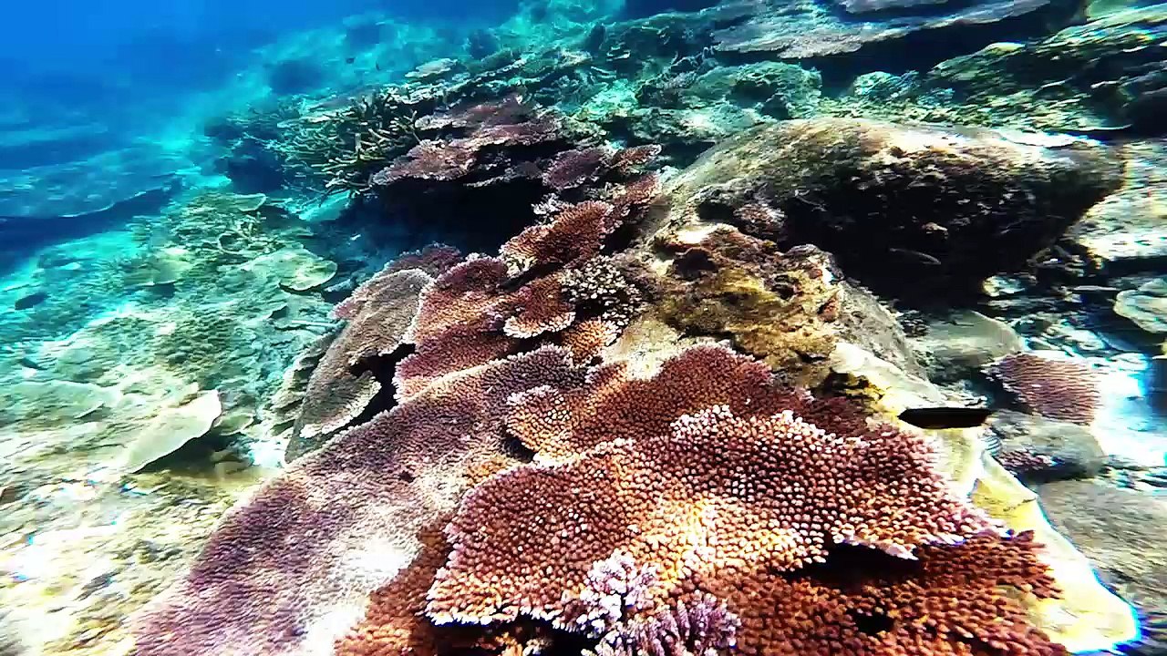 Malaysia