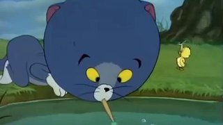 Tom and Jerry - Just Ducky