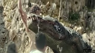 crocodile attack on hrithik roshan