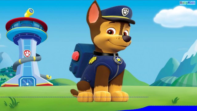 Aprende Los Colores Con La Patrulla Canina - Videos Para Niños En Español BabyKids