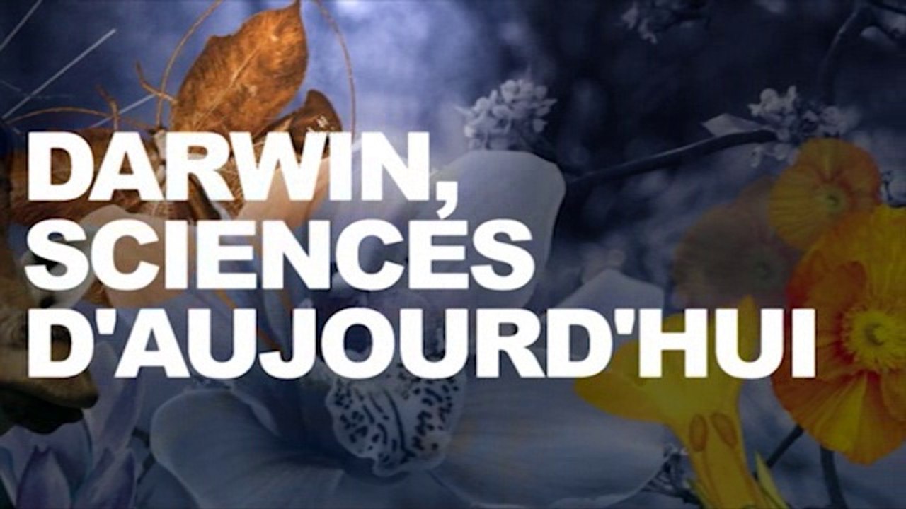 La théorie de l'évolution aujourd'hui (cycle Darwin, Sciences d’aujourd’hui 4/5)