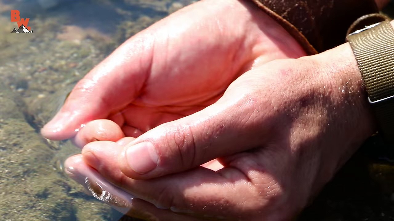 DEADLY Sea Snake Encounter!