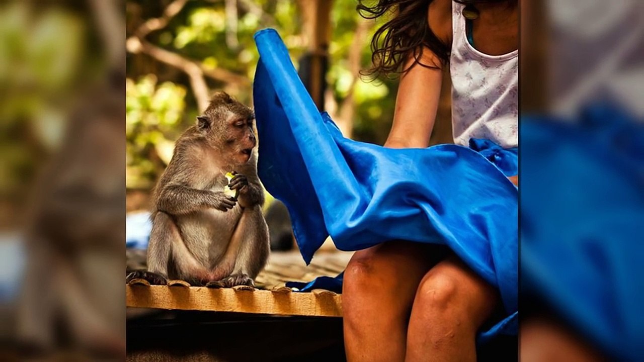 50 Crazy Photos Taken at the Right Moment _ HILARIOUS PICS Perfectly Timed