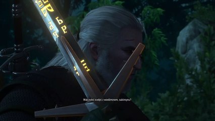 Wiedźmin 3: Dziki Gon / Walka z Przywódcą Stada