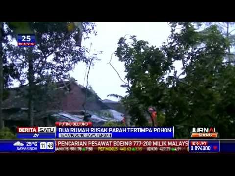 Dua Rumah di Temanggung Rusak Parah Tertimpa Pohon