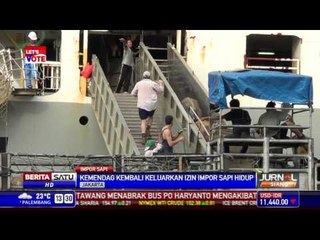 Kemendag Kembali Keluarkan Izin Impor Sapi Hidup