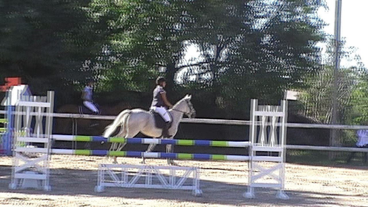 CSO Syrah le 14.08.2016 - GP 1m