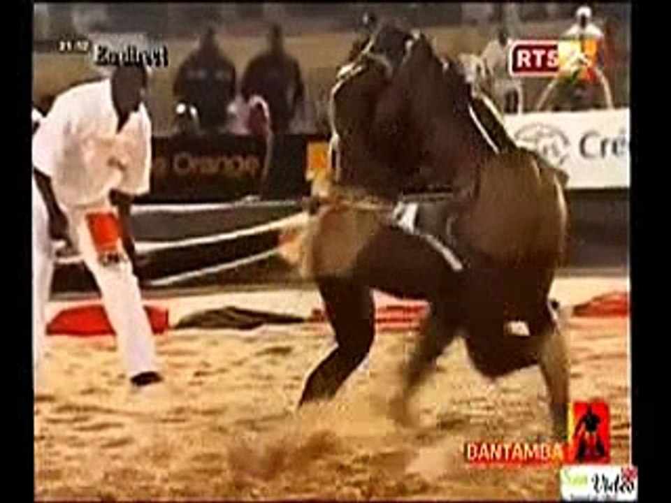 Eumeu Séne pimente Balla : « Balla gaye 2 dafay weur kouka raye… » (vidéo)