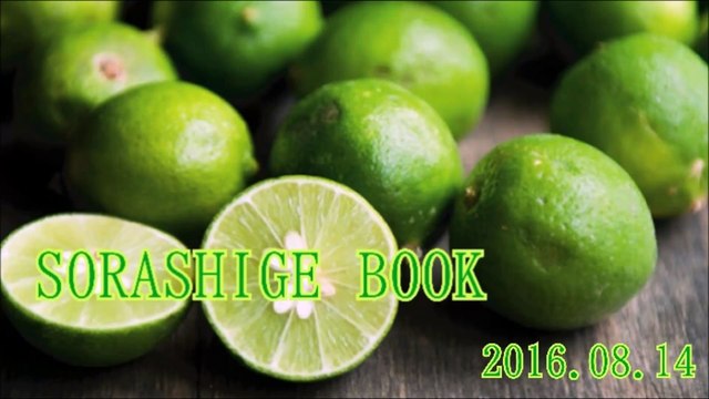 SORASHIGE BOOK#20160814