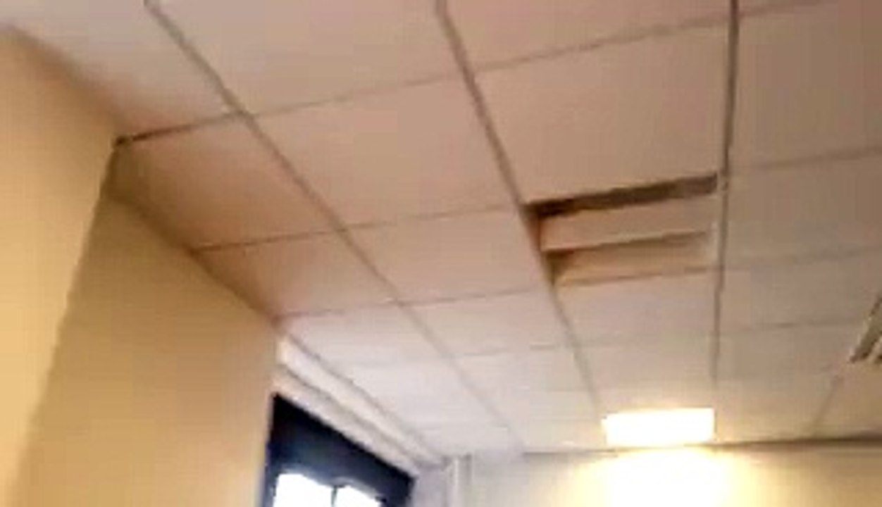coucou