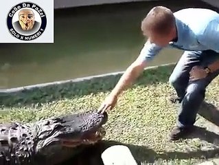 coccodrillo lo morde in diretta
