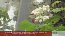 Visite du Jardin botanique de Tourcoing