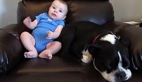 Quand ce bébé lâche un pet, la réaction du chien est à mourir de rire !