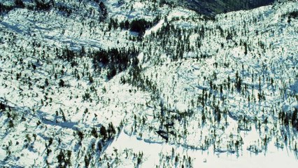 Christmas Terror Tales Book Trailer