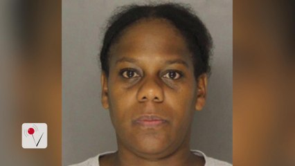 Mom Charged With Lying to Authorities About Missing Twins