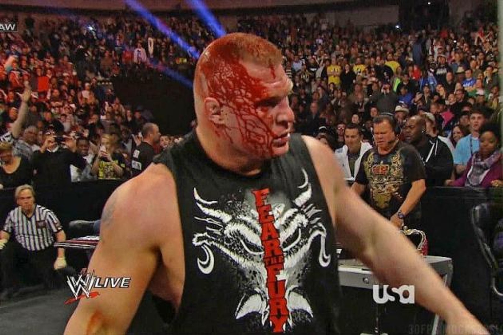 ww wwe fighting