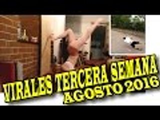 VIRALES Y FAILS MAS VISTOS DE LA TERCERA SEMANA DE AGOSTO 2016 nuevo