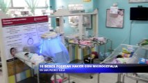 16 bebes podrian nacer con microcefalia en San Pedro Sula