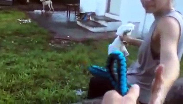 Une femme entend des pleurs dans la cour d'un voisin, ce qu'elle y découvre lui brise le coeur!