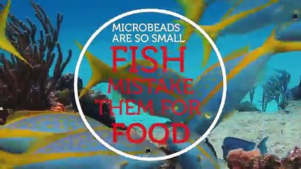 Microperlas - RMIT University