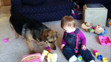 DOGS & BABIES COLLIDE
