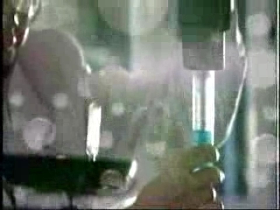 Pharmanex Processo 6S