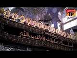 Veer Di Lash Ute - Sharfat Ali Khan - Official Video