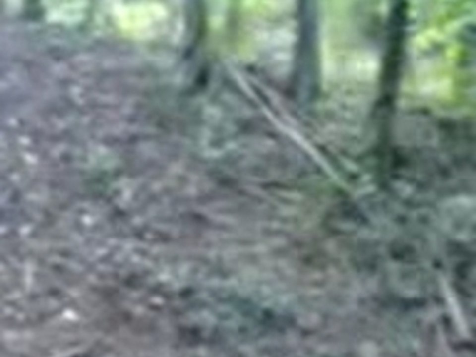 NorthShore Durtol aperçu