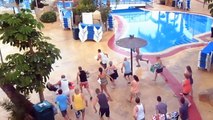 Ces vacanciers se disputent les meilleures places autour de la piscine