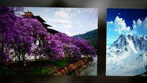 Bhutan Tours and Travel Service - Bhutantourpackage.com