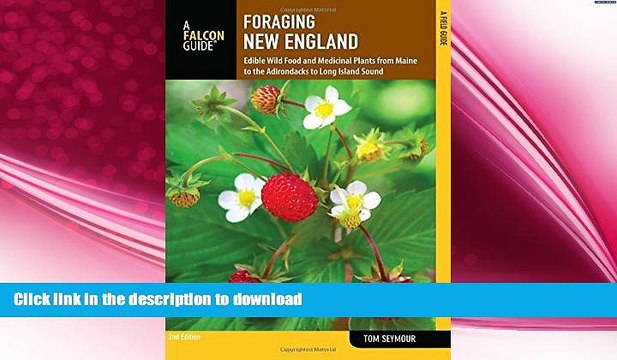 READ Foraging New England: Edible Wild Food And Medicinal Plants From Maine To The Adirondacks