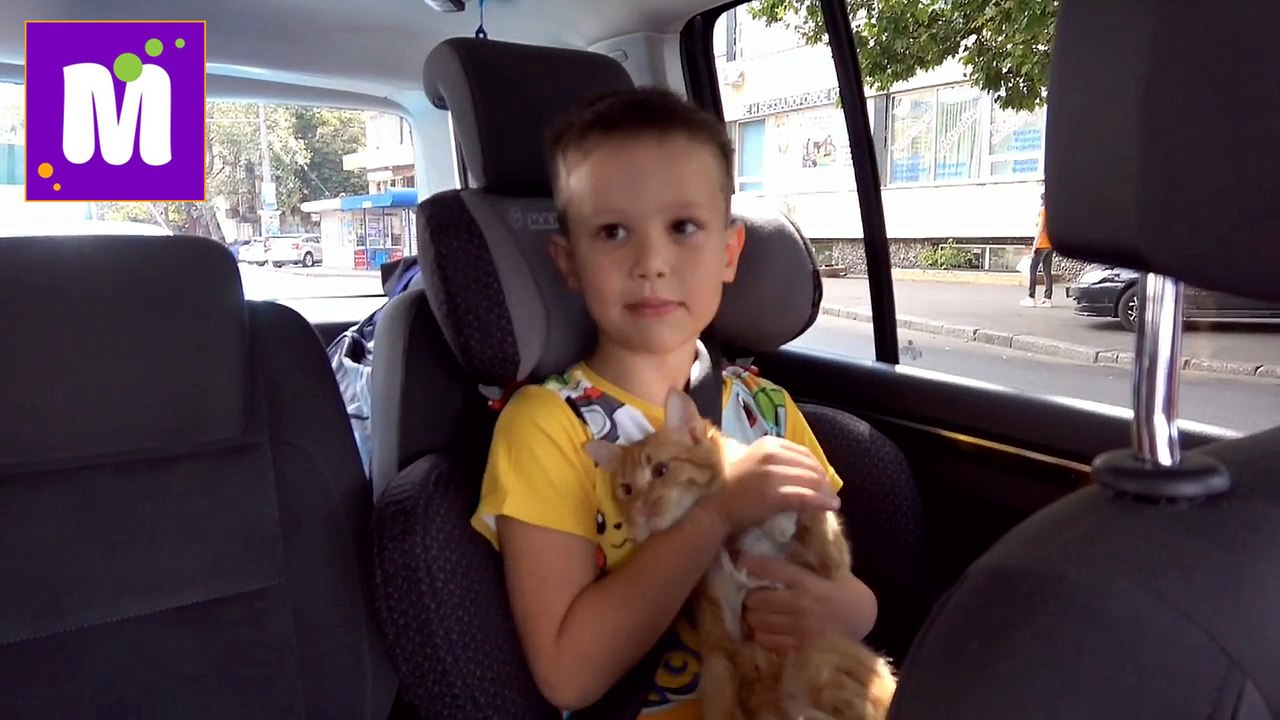 Кошечка Мурка и Макс едут в гости ВЛОГ едем в Киев ДжекПот