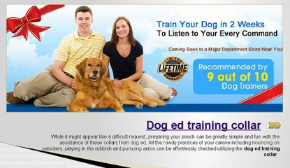 dog ed training collar for your dog