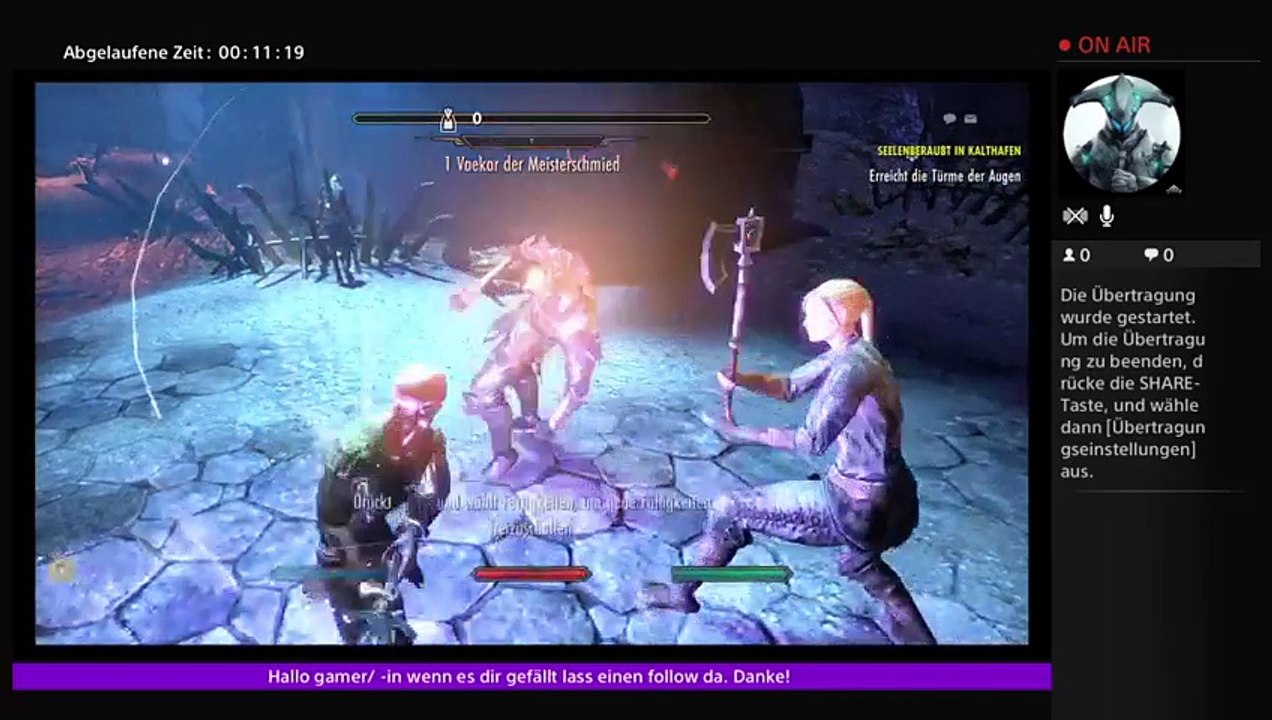 Ps4-live-Übertragung von lilienritter (11)